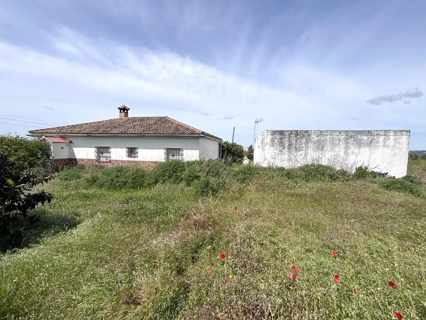 Terreni e lotti in vendita a Arcos de la Frontera, imagen 4