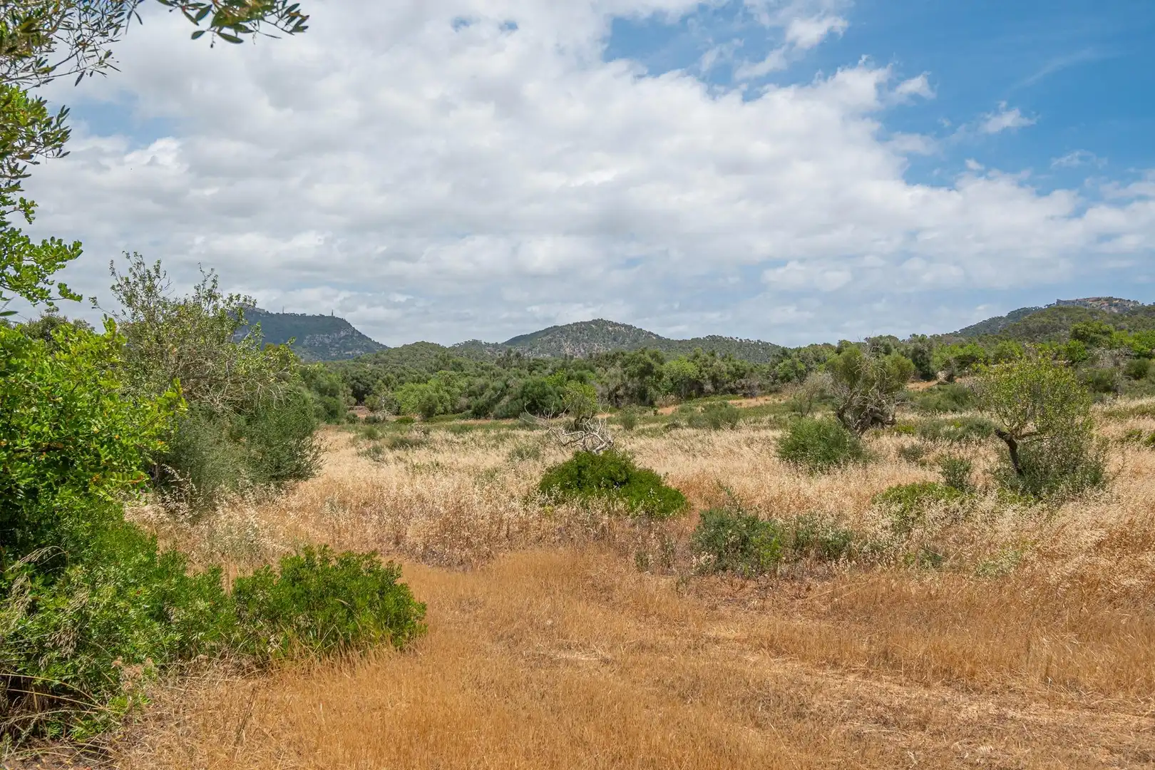 Lands and plots for sale in Felanitx Poble, imagen 16