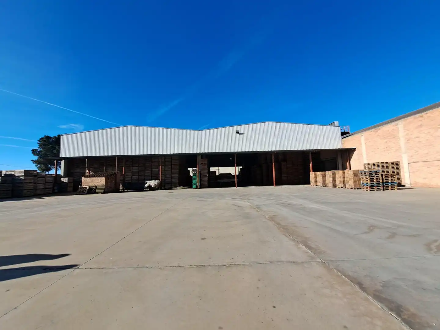 Exterior view of Industrial buildings for sale in Mollerussa