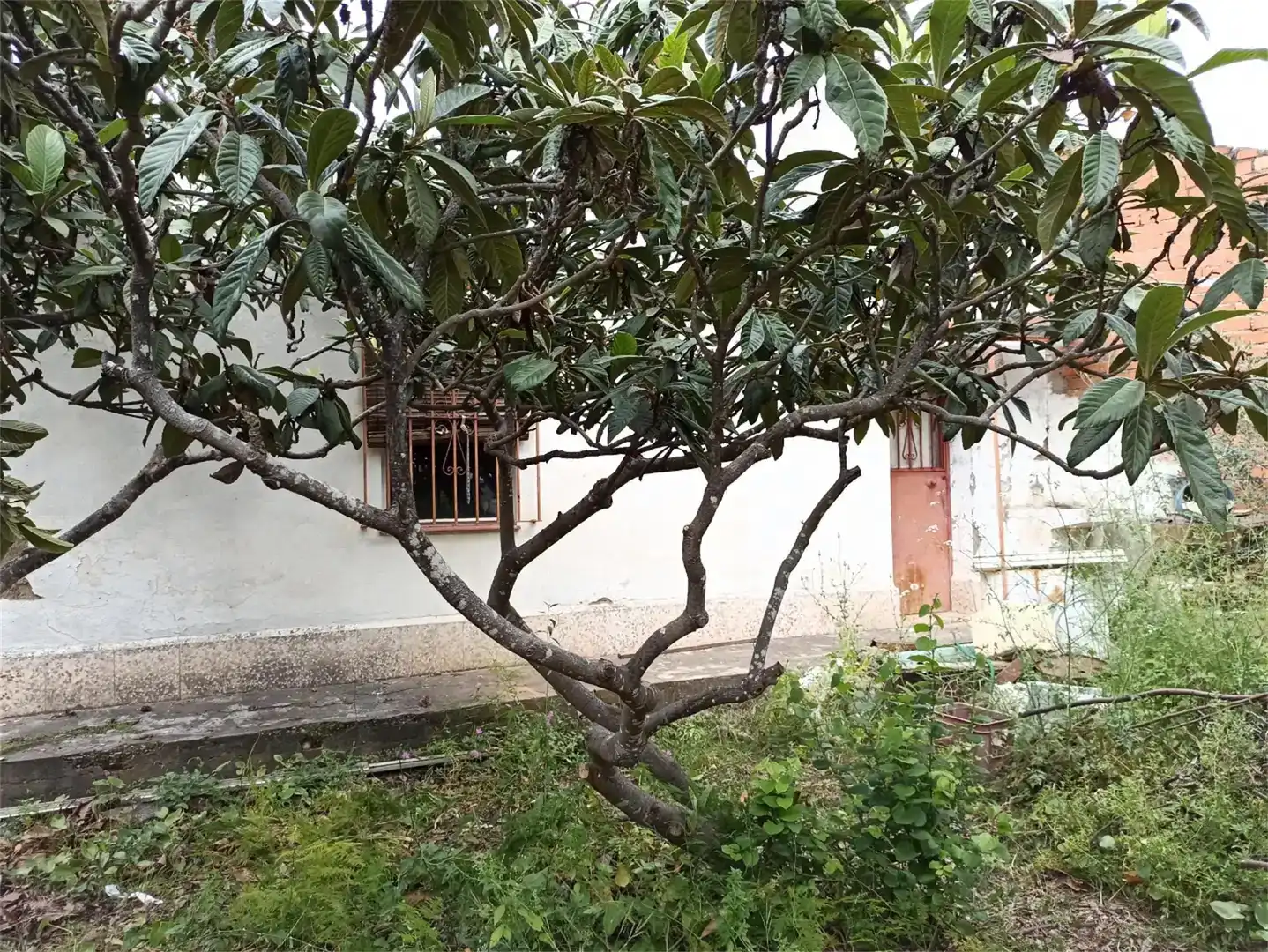 Terreno en venta en Málaga