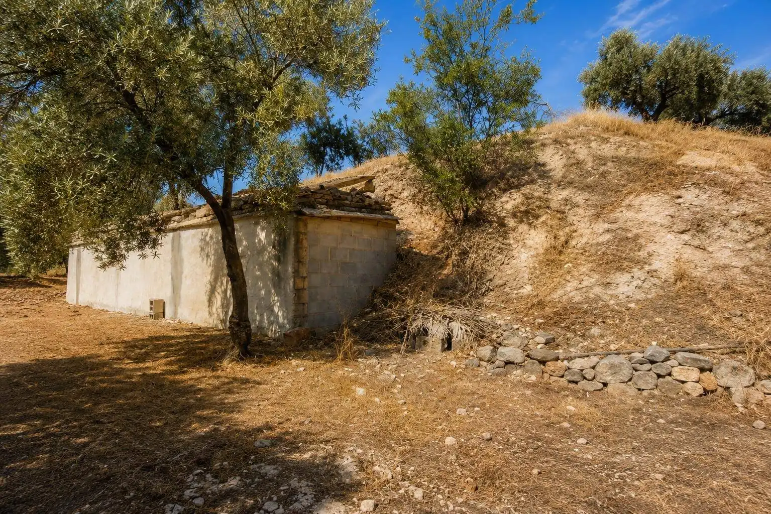 Exterior view of Country homes for sale in Atarfe