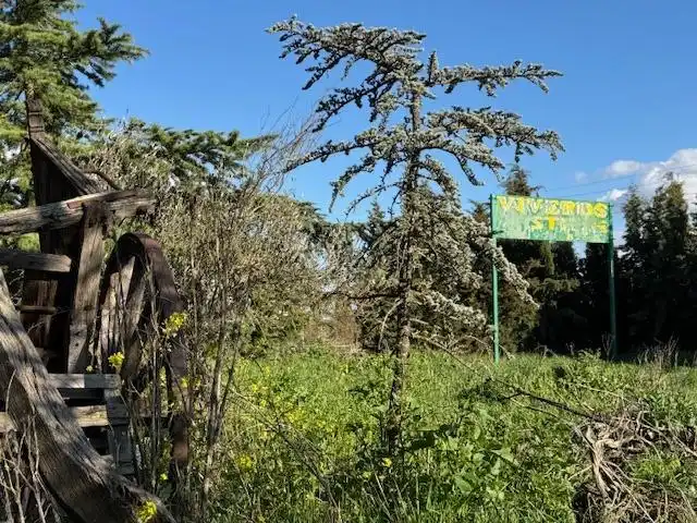 Finca rústica en venta en Coreses