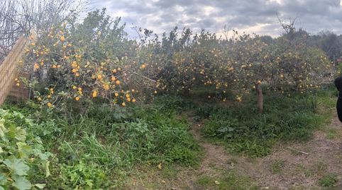 Foto 2 de Terreno en venta en Estación de Cártama, Cártama