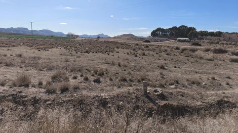 Foto 5 de Finca rústica en venta en Hellín, Albacete