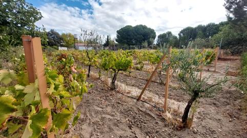 Photo 3 of Land for sale in Santa Cruz del Retamar pueblo, Toledo