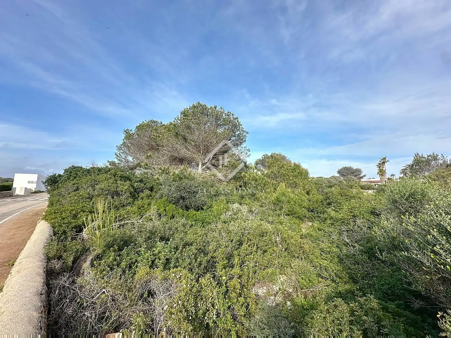 Terreno rustico in vendita a Sant Climent - Es Canutells, imagen 5