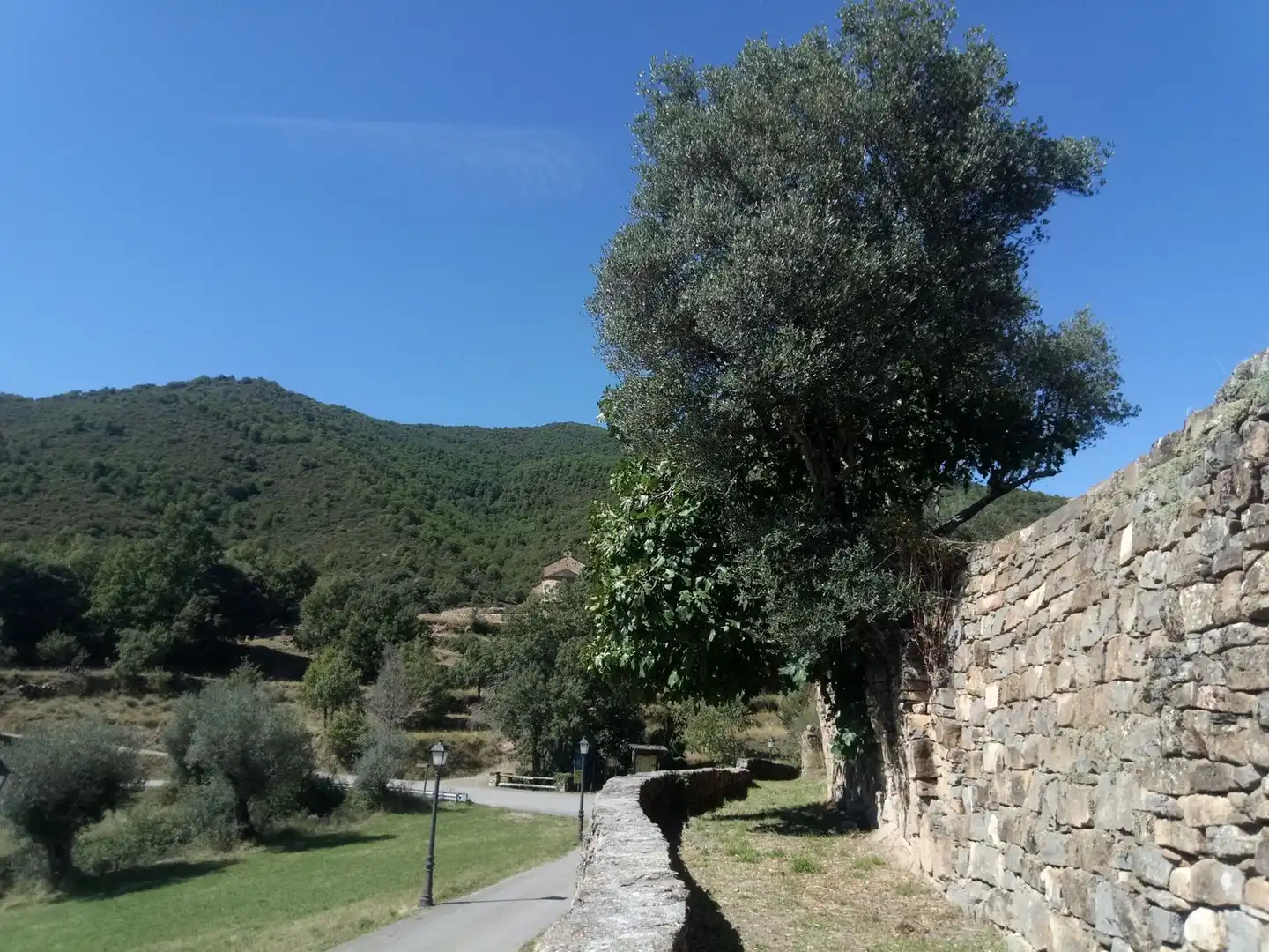 Vista exterior de Casa o chalet en venta en El Pueyo de Araguás con Jardín privado