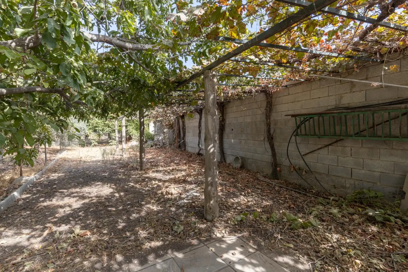 Country homes for sale in Polideportivo