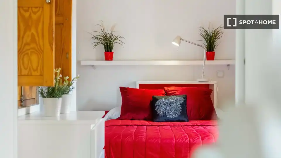 Appartamento con terrazza in affitto a Latina, imagen 19