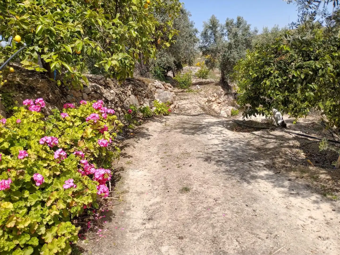Terreni e lotti in vendita a El Valle, imagen 19