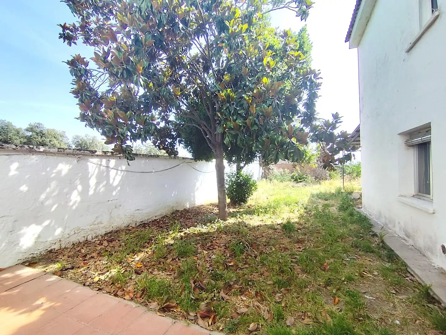 Jardí de Casa adosada en venda en Alagón del Río amb Jardí privat, Traster i Balcó