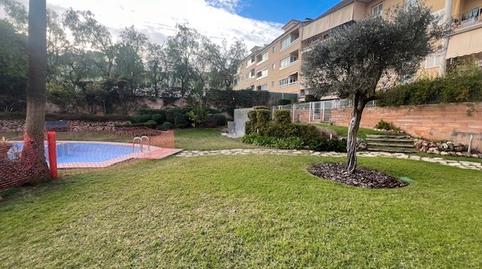 Photo 4 of Planta baja for rent in Son Xigala,  Palma de Mallorca