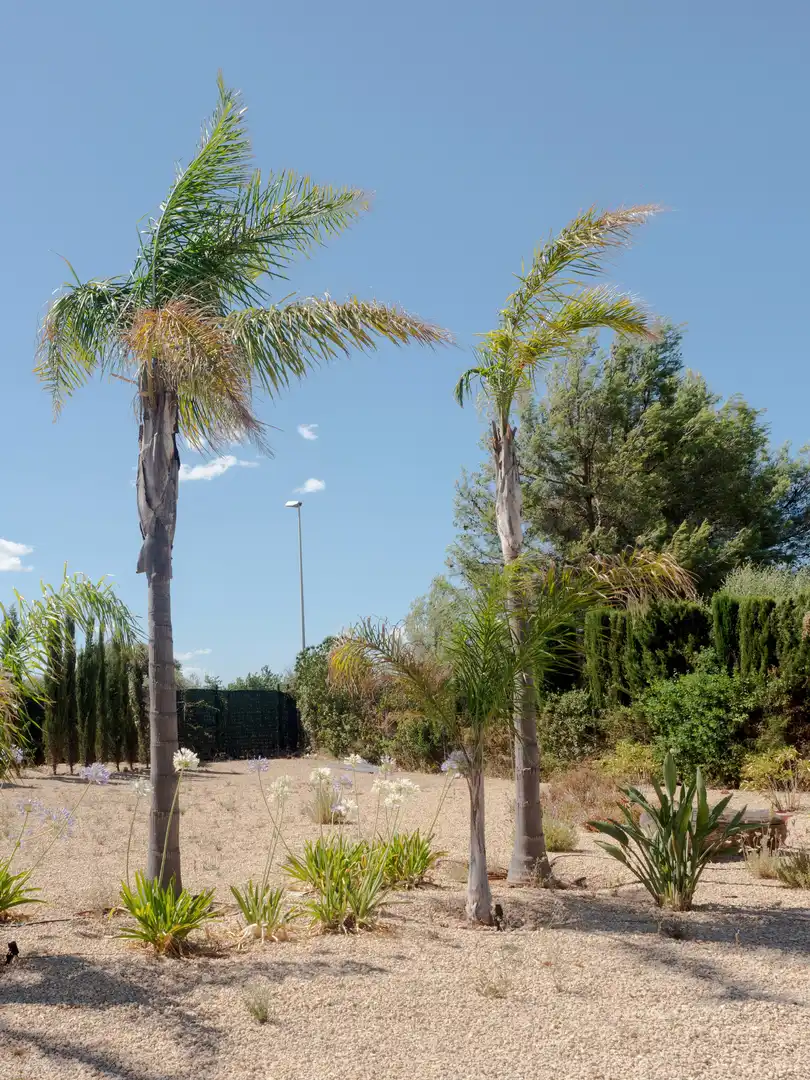 Casa o xalet en venda en Marratxí amb Calefacció, Jardí privat i Terrassa