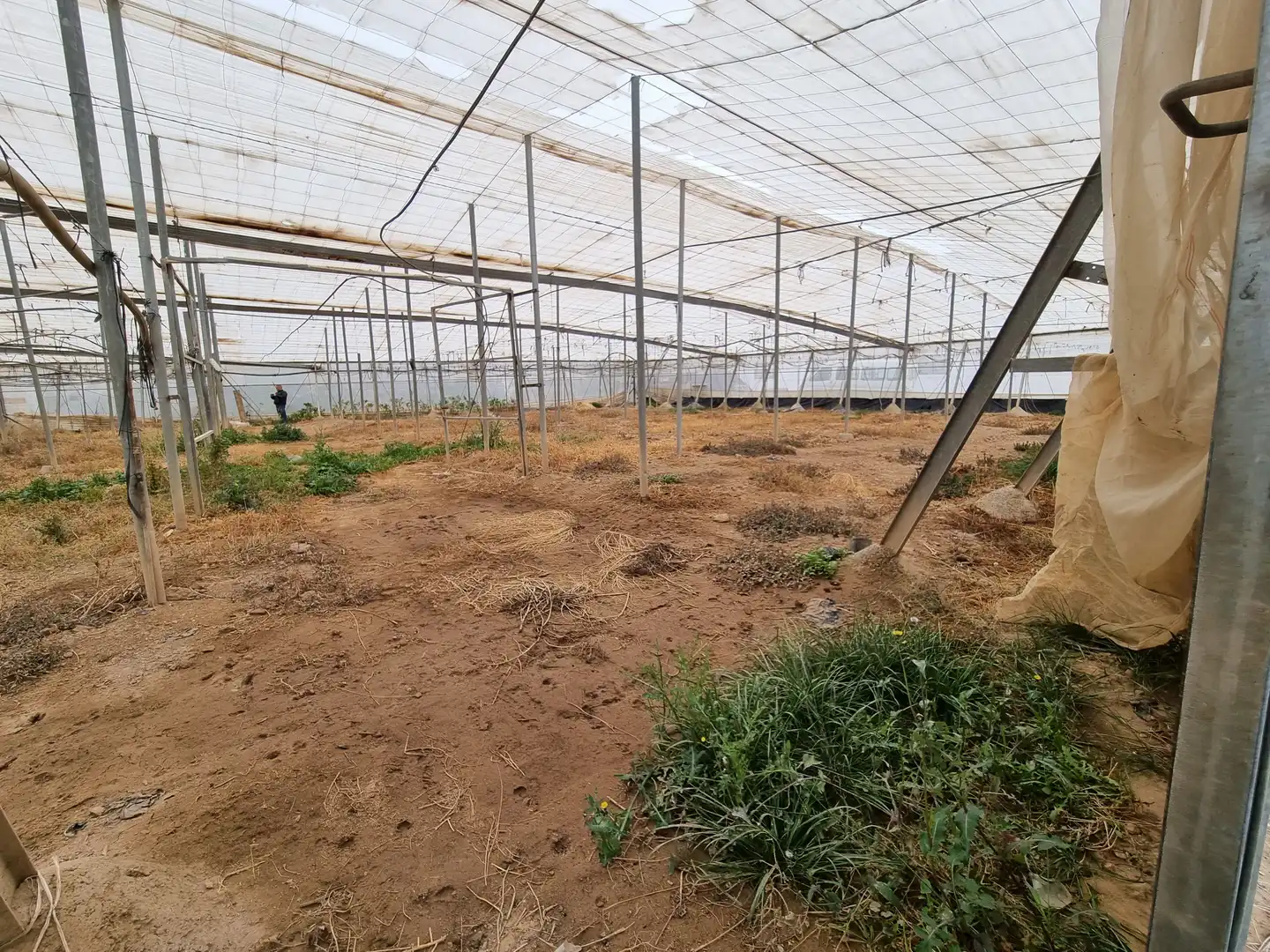Terreny rústic en venda a Uleila del Campo, imagen 17