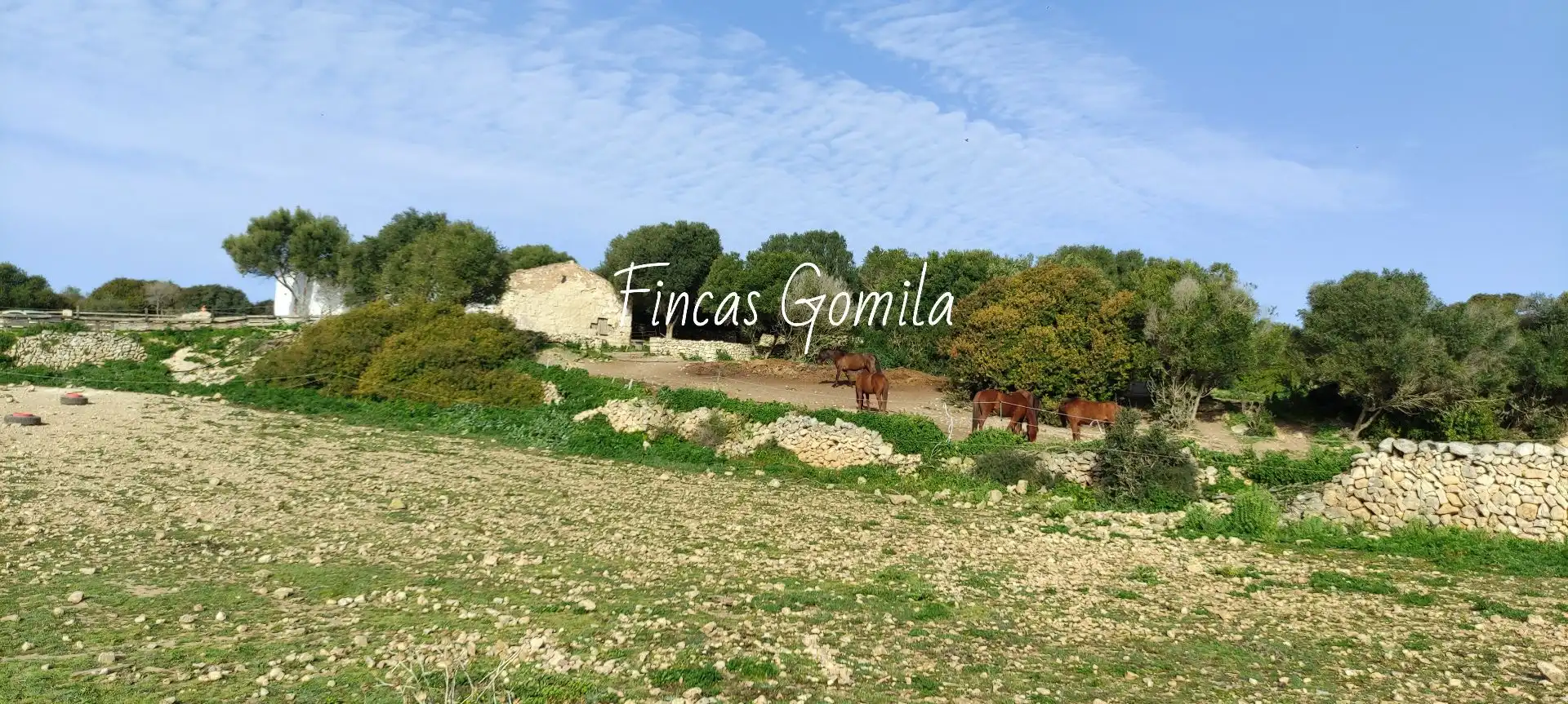 Finca rústica en venda en Alaior