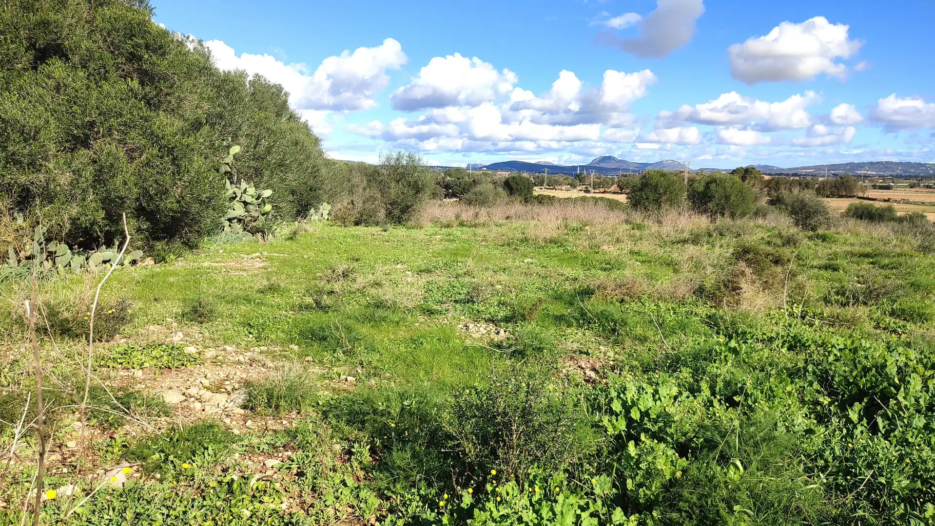 Rural land for sale in Diseminado Cdte Primero 3, imagen 10