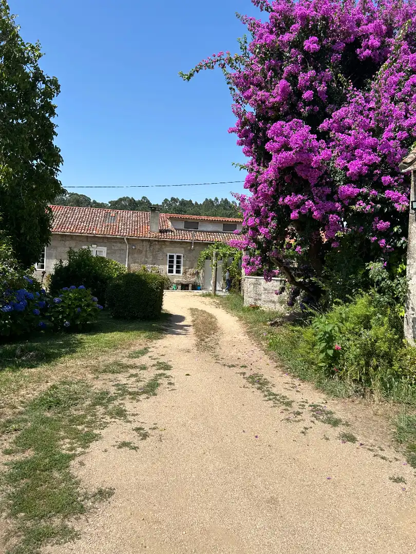 Jardí de Casa o xalet en venda en Meis amb Jardí privat, Traster i Piscina
