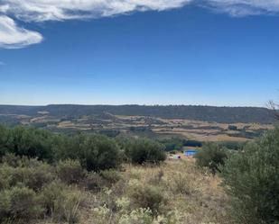 Terreny en venda en Brihuega