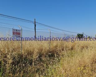 Land for sale in Villaverde del Río