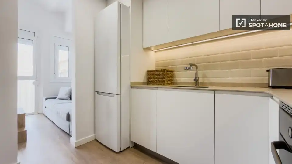 Cuina de Apartament per a compartir en Barcelona amb Aire condicionat, Calefacció i Terrassa
