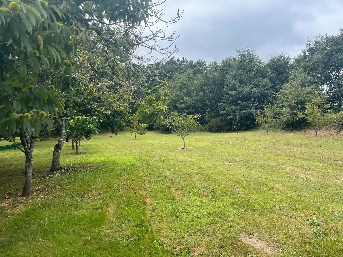 Rural land for sale in Covelo, imagen 24