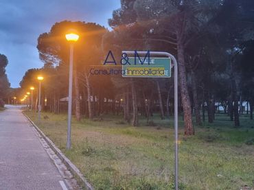 Terreno rustico in vendita a Montico