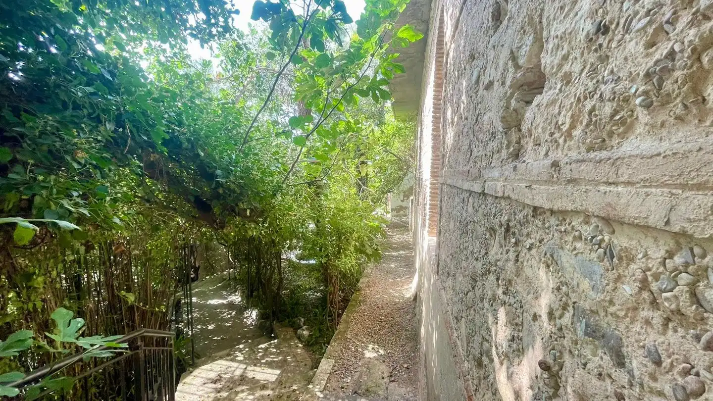 Haus mit Garten zum Verkauf in La Parra, imagen 41