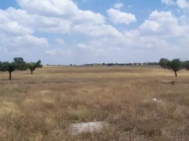 Terreni e lotti in vendita a Alcántara, imagen 29
