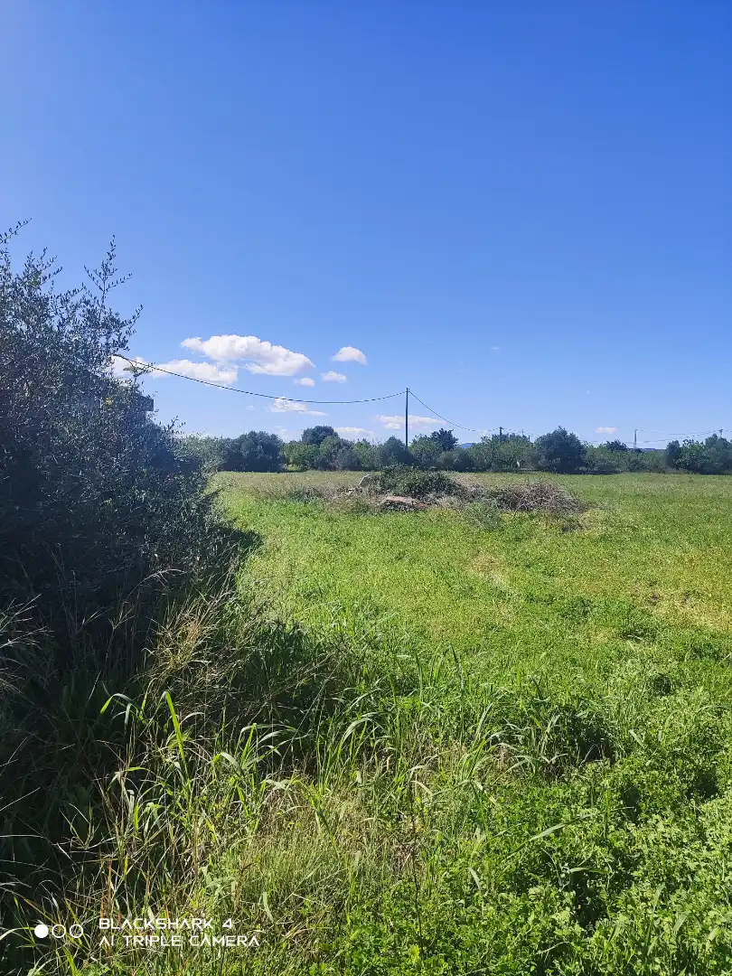 Rural land for sale in Alcossebre