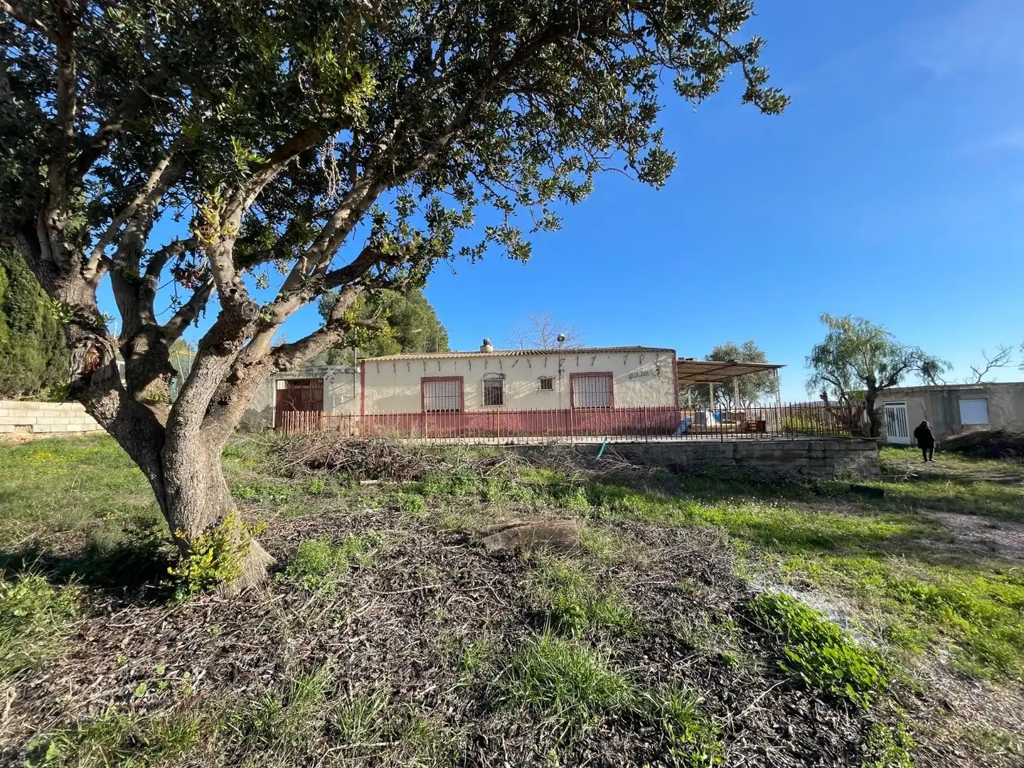 Land for sale in Aspe