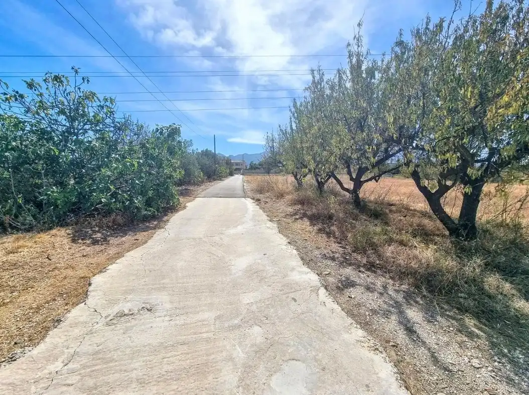 Terreno rustico in vendita a Alquería - Torrealquería, imagen 11