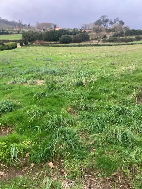 Residential land for sale in Campa San Roque 3, imagen 4