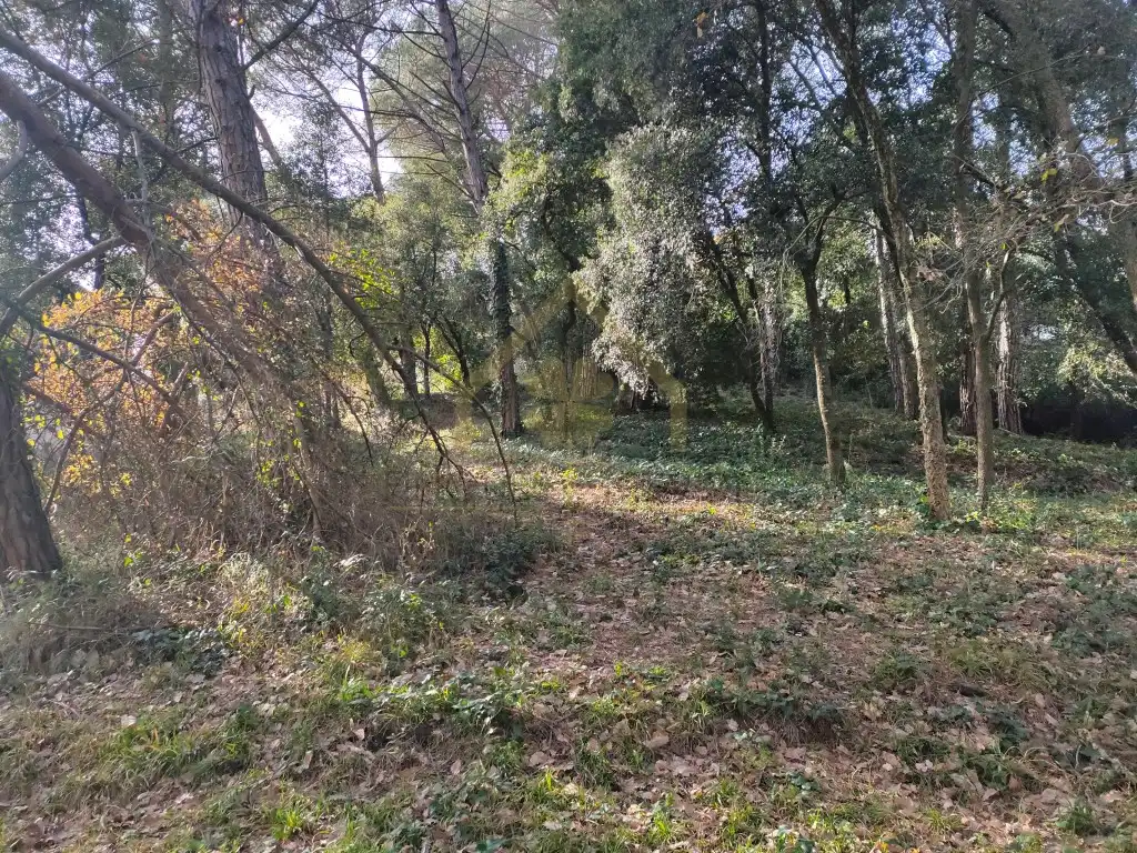 Residential for rent in Sant Pere de Vilamajor