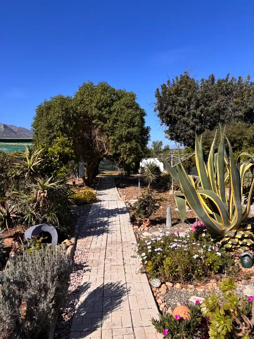 Jardín de Casa o chalet en venta en Alhaurín de la Torre con Aire acondicionado, Calefacción y Jardín privado