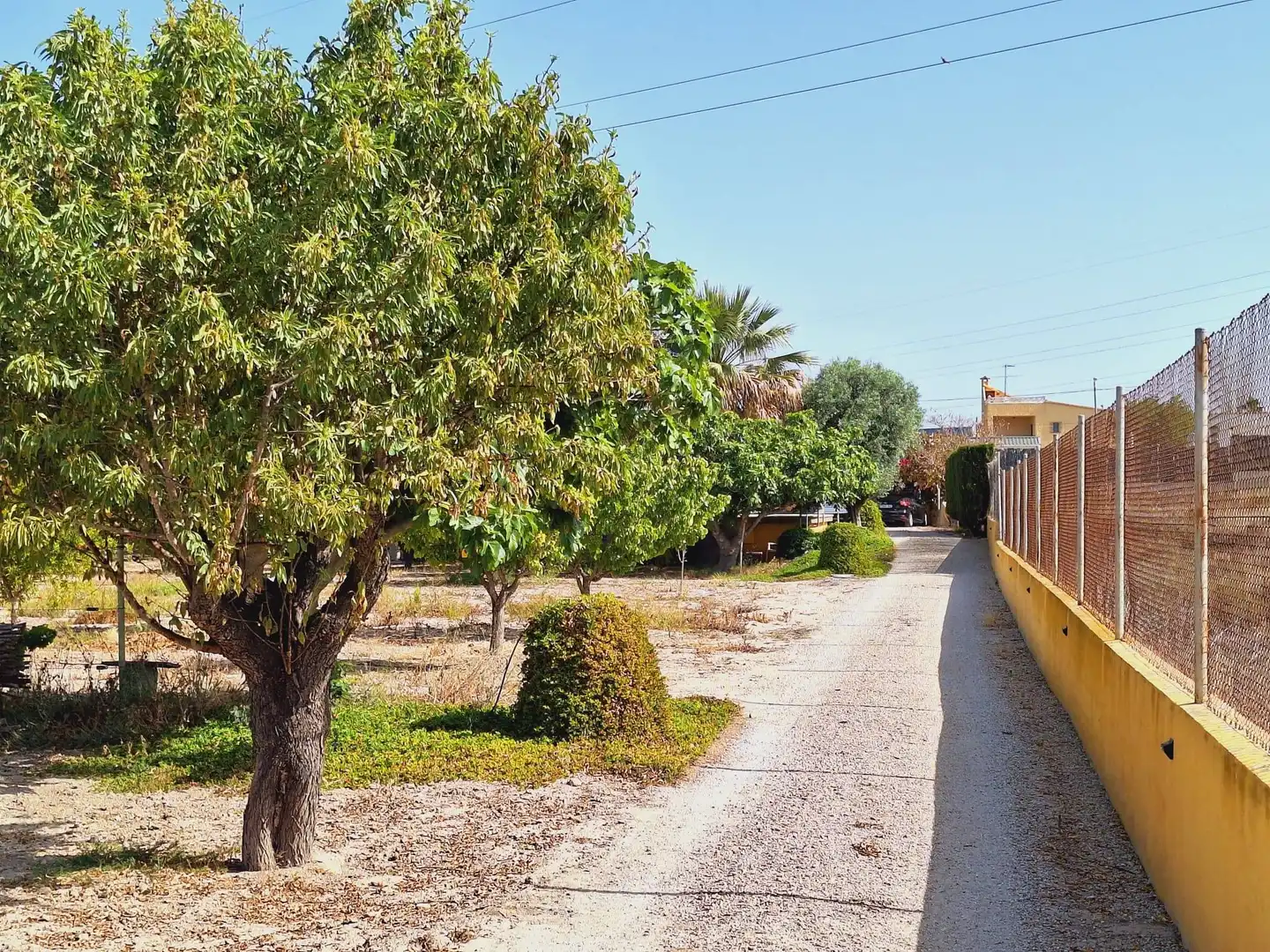 Vista exterior de Casa o xalet en venda en Alicante / Alacant amb Jardí privat, Terrassa i Traster