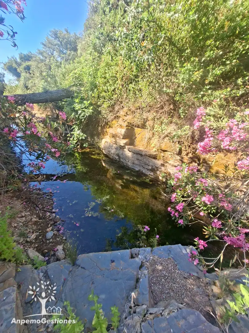 Garden of Land for sale in Las Navas de la Concepción