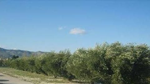 Imagen 1 del anuncio