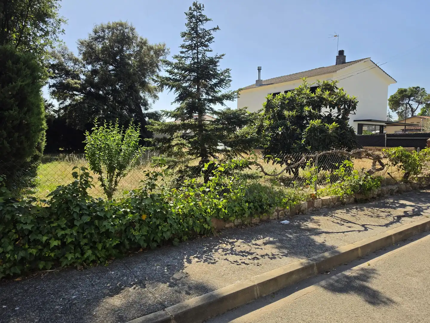 Terreno residencial en venta en Font del Llobregat, imagen 4