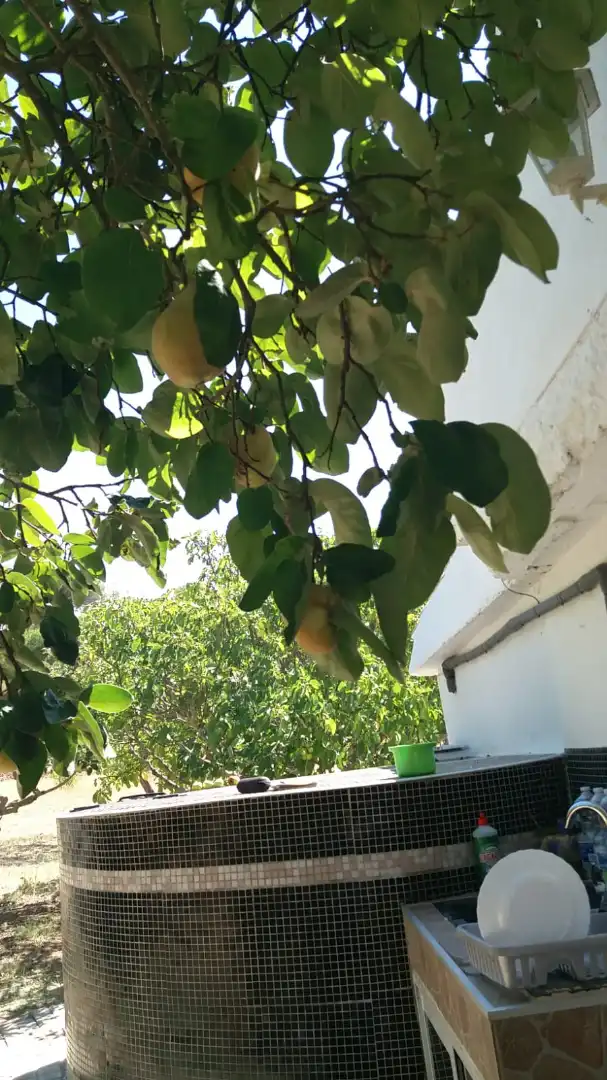 Terreni e lotti in vendita a La Hiniesta, imagen 12