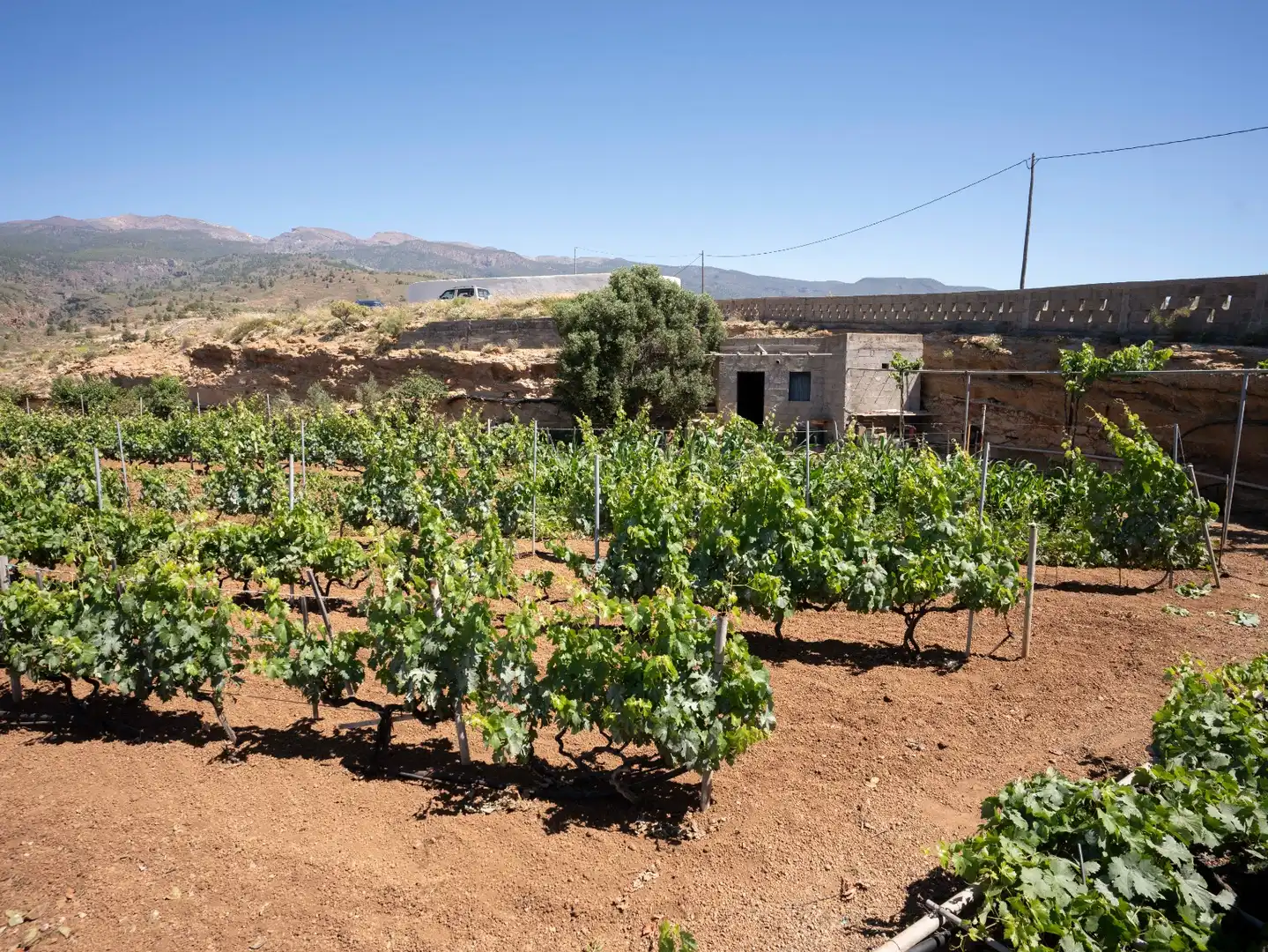 Terreno rustico in vendita a N/A, imagen 15