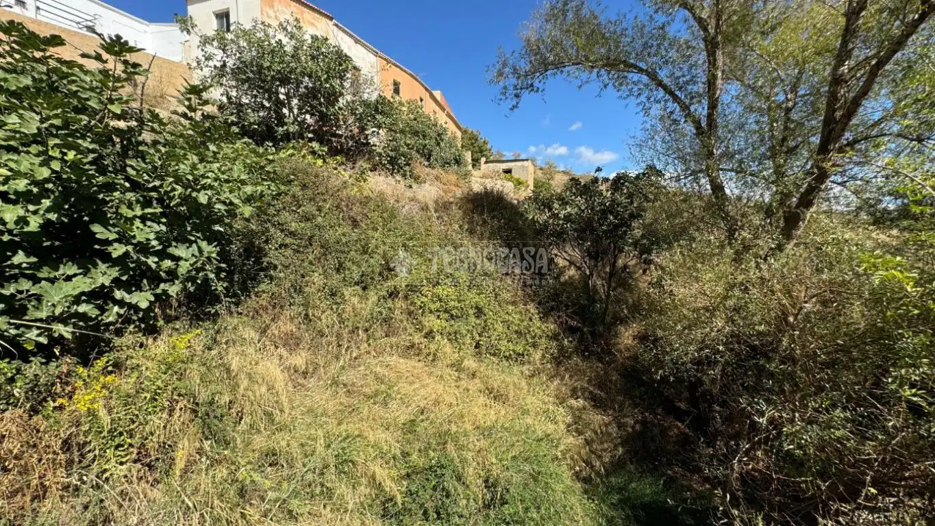 Finca rústica en venta en Albondón con Calefacción
