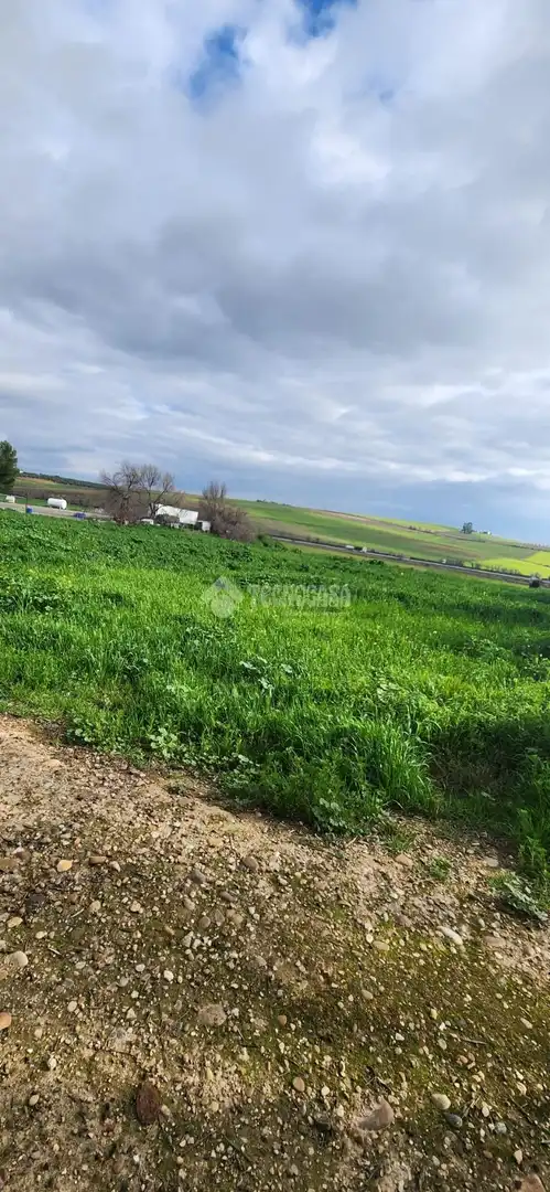Terreno industrial en venta en Écija