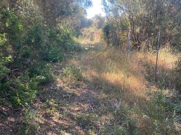 Terrenys i solars en venda a Felanitx Poble