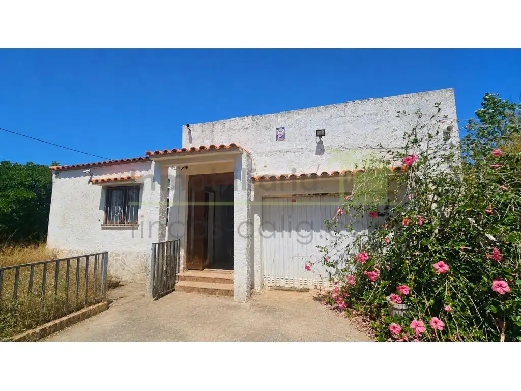 Vista exterior de Casa o chalet en venta en Peñíscola / Peníscola con Terraza y Piscina