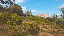 Garden of House or chalet for sale in Sant Pol de Mar