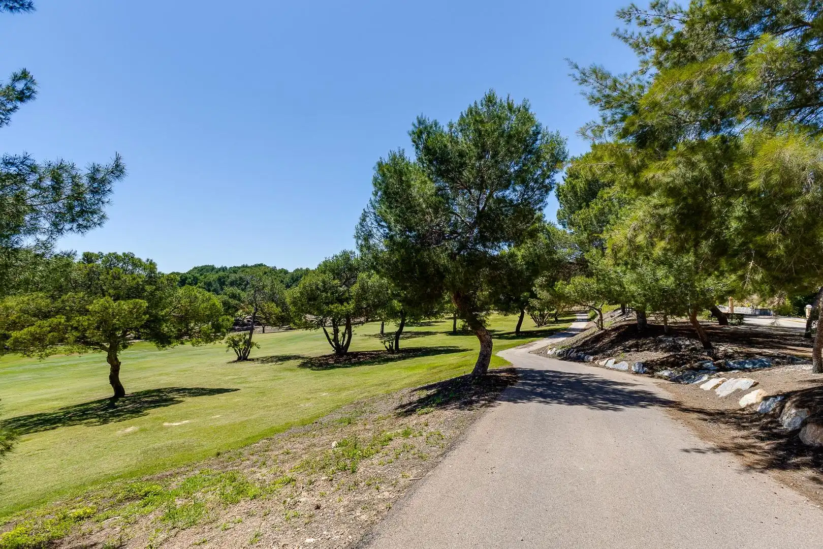 Mini appartamento con terrazza in affitto a Campo de Golf Lomas de Campoamor, imagen 86