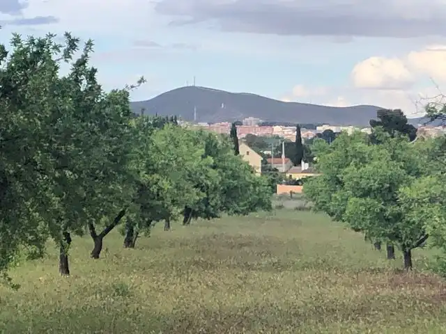 Residential zum Verkauf in Hellín