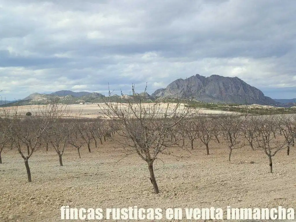 Rustikales Grundstück zum Verkauf in Cieza, imagen 19
