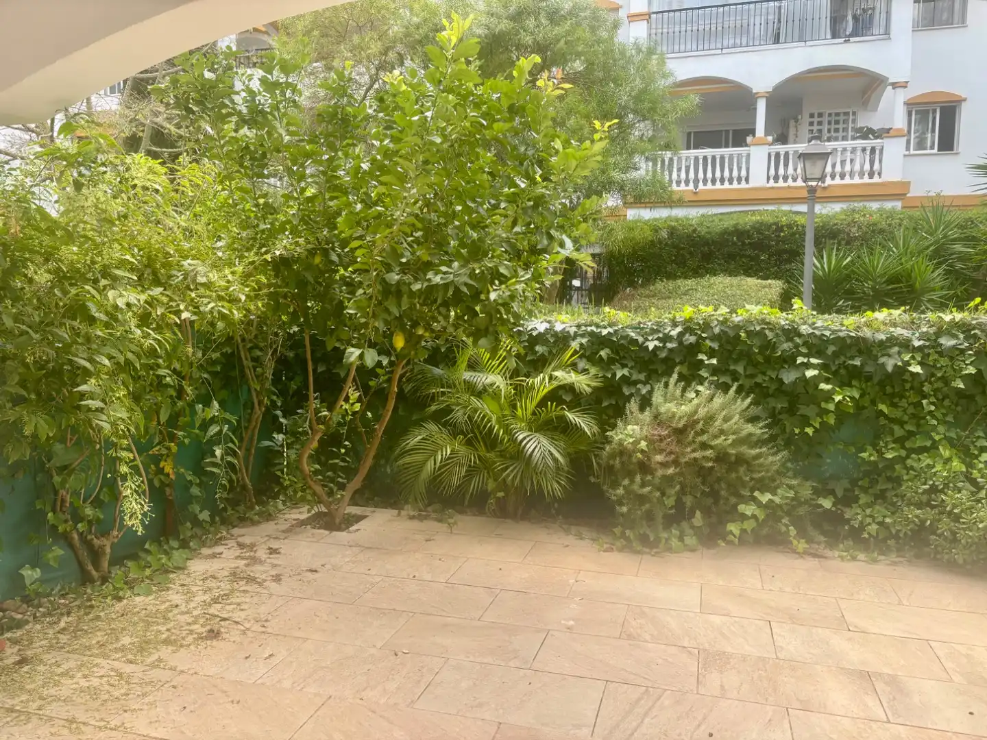 Apartament amb piscina de lloguer a Príncipe salman 1, imagen 7