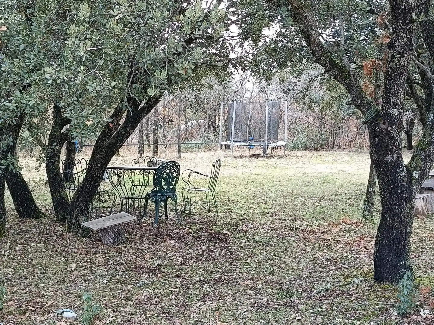 Jardín de Casa o chalet en venta en Castillejo de Mesleón con Calefacción